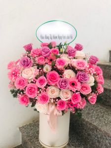 Dành cho phái đẹp -  LOVE63