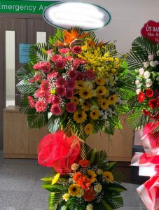 Phồn vinh -  LOVE519