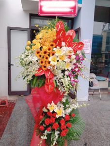 Chân trời mới -  LOVE536