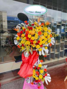 Bách chiến bách thắng -  LOVE542