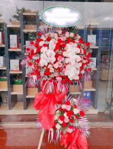 Khởi đầu thuận lợi - LOVE545