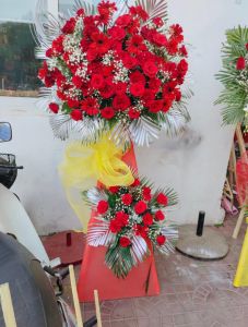 Hân hoan -  LOVE564