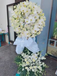 đưa tiễn -  HTL428