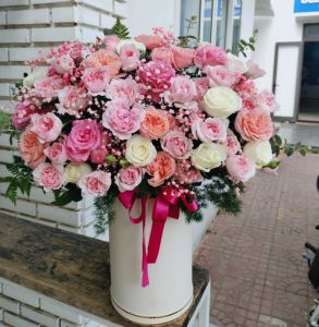 Tình đắm say -  LOVE377